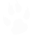 katzenpfote